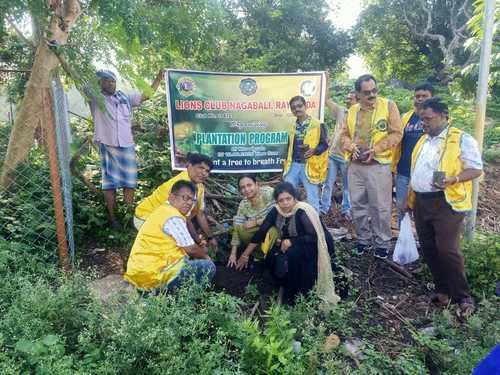 Plantation by LC Rayagada Nagabali